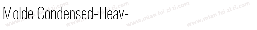 Molde Condensed-Heav字体转换